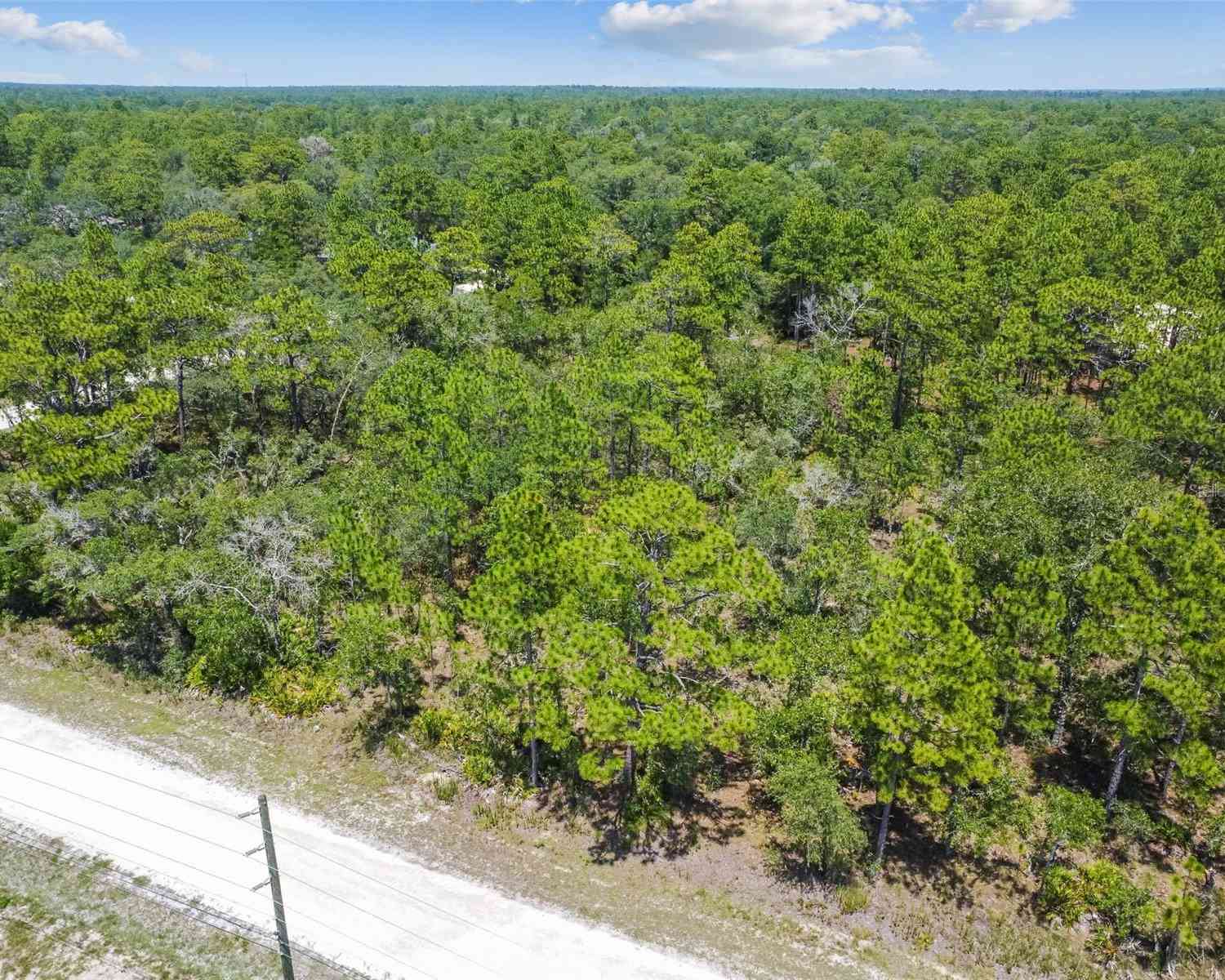 17496 Nicasio Jay Avenue, WEEKI WACHEE, Florida image 31