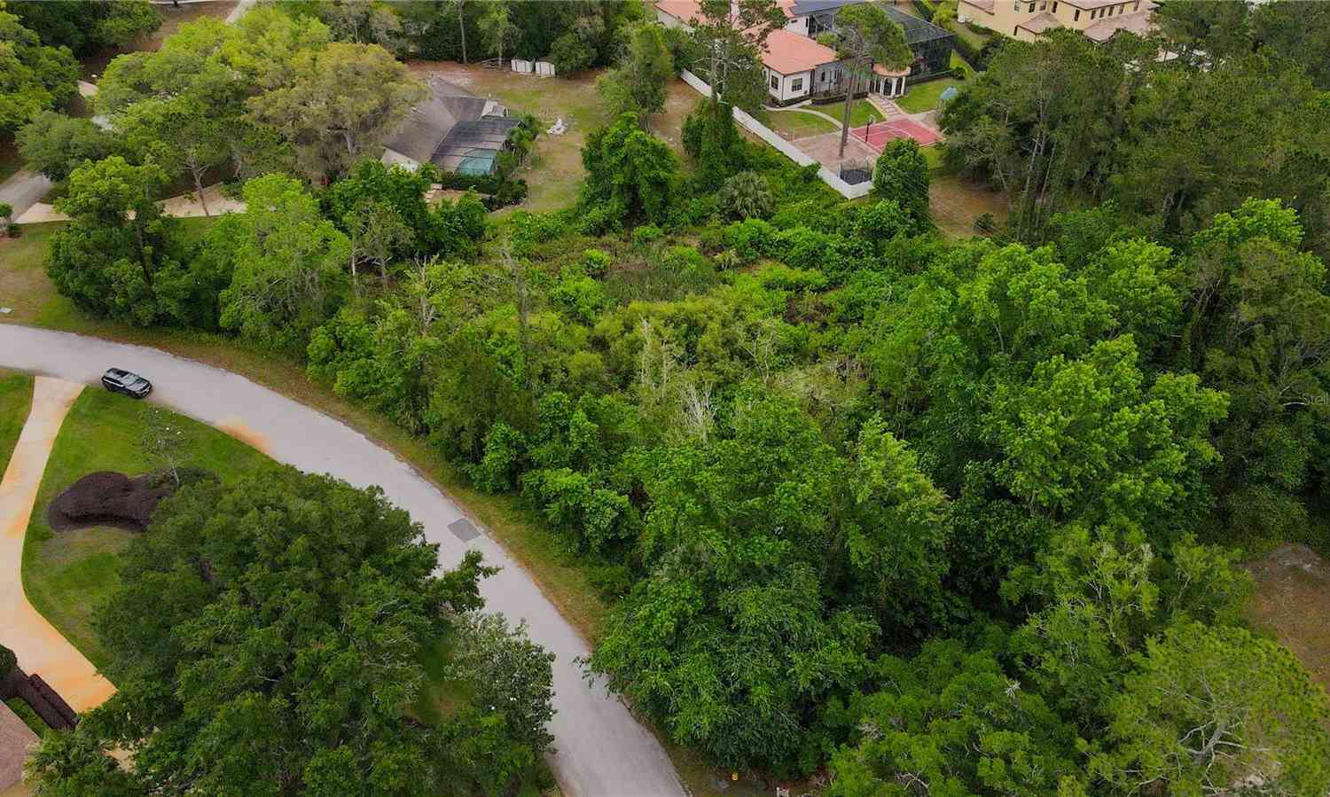 126 W Greentree Lane, LAKE MARY, Florida image 3