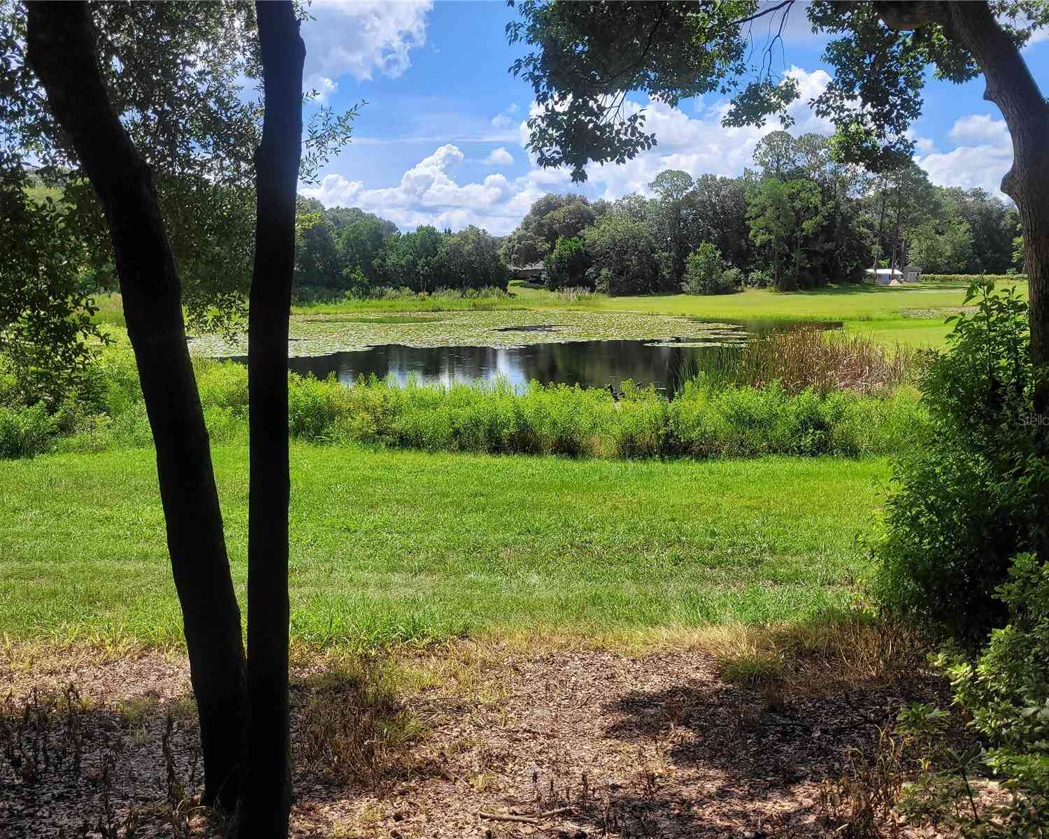 Minshew Road, PIERSON, Florida image 1