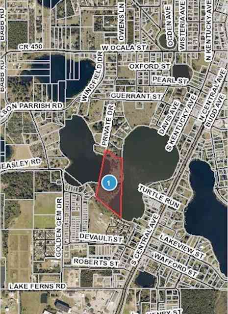 Private Drive, Umatilla, Florida image 12