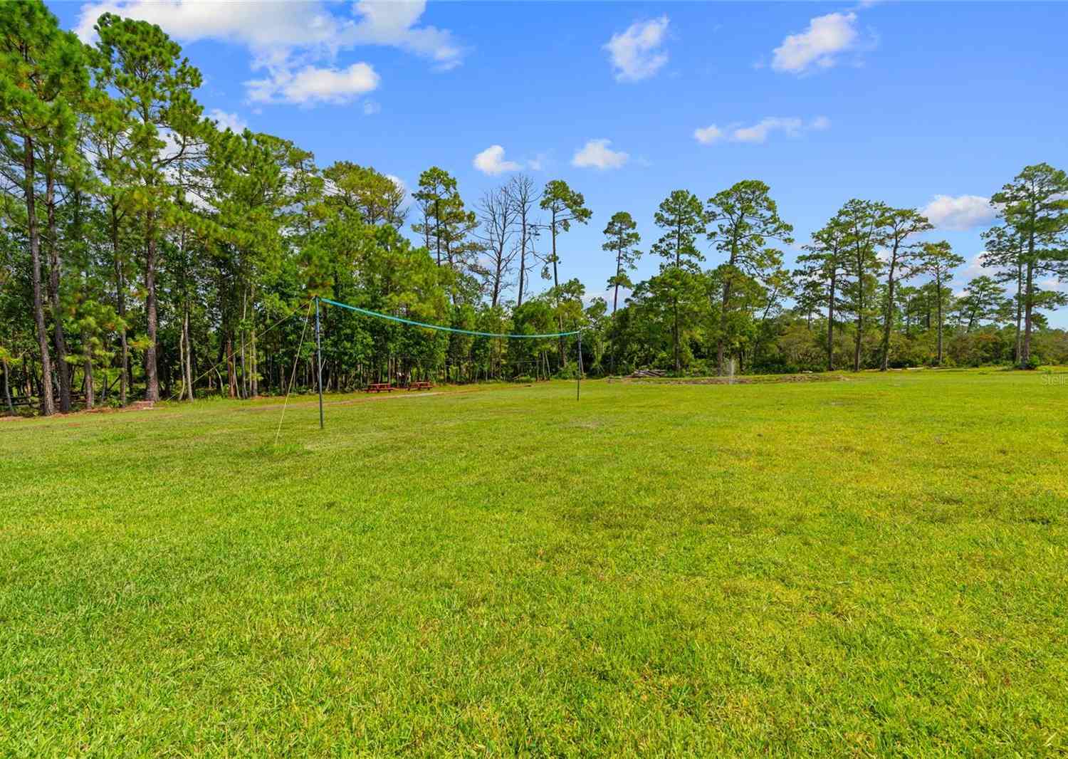 14181 SE 211th Court, Umatilla, Florida image 47