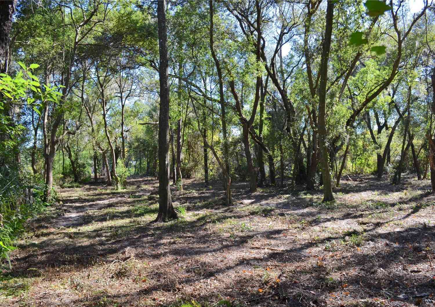 Racine Road, ORANGE CITY, Florida image 8