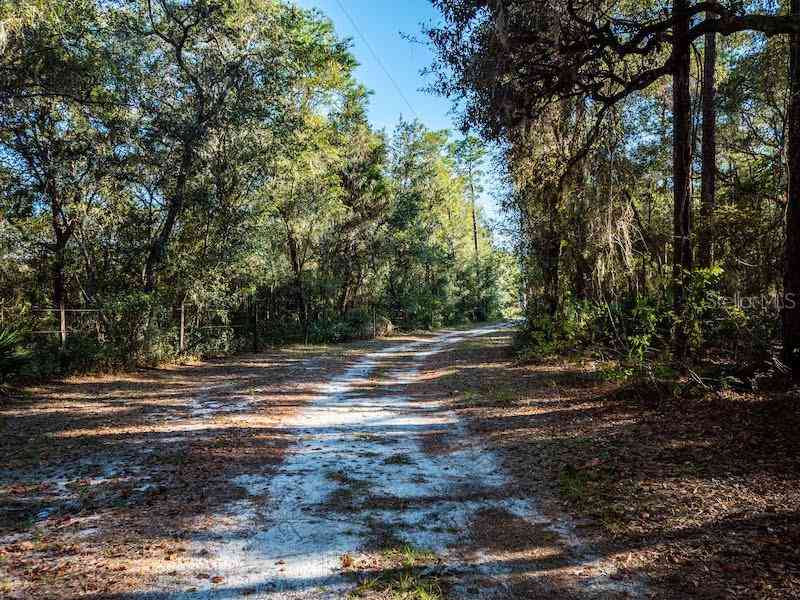 23720 NE 130th Court Road, FORT MC COY, Florida image 5