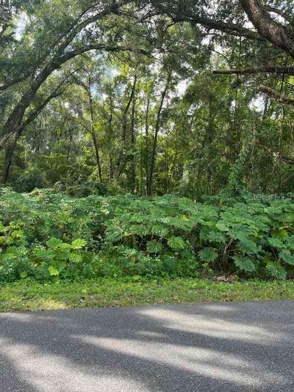 10th Street, WEBSTER, Florida image 1