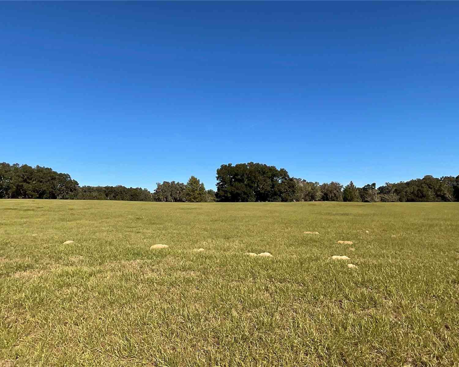 TBD SE 15th Avenue #LOT 1, OCALA, Florida image 6