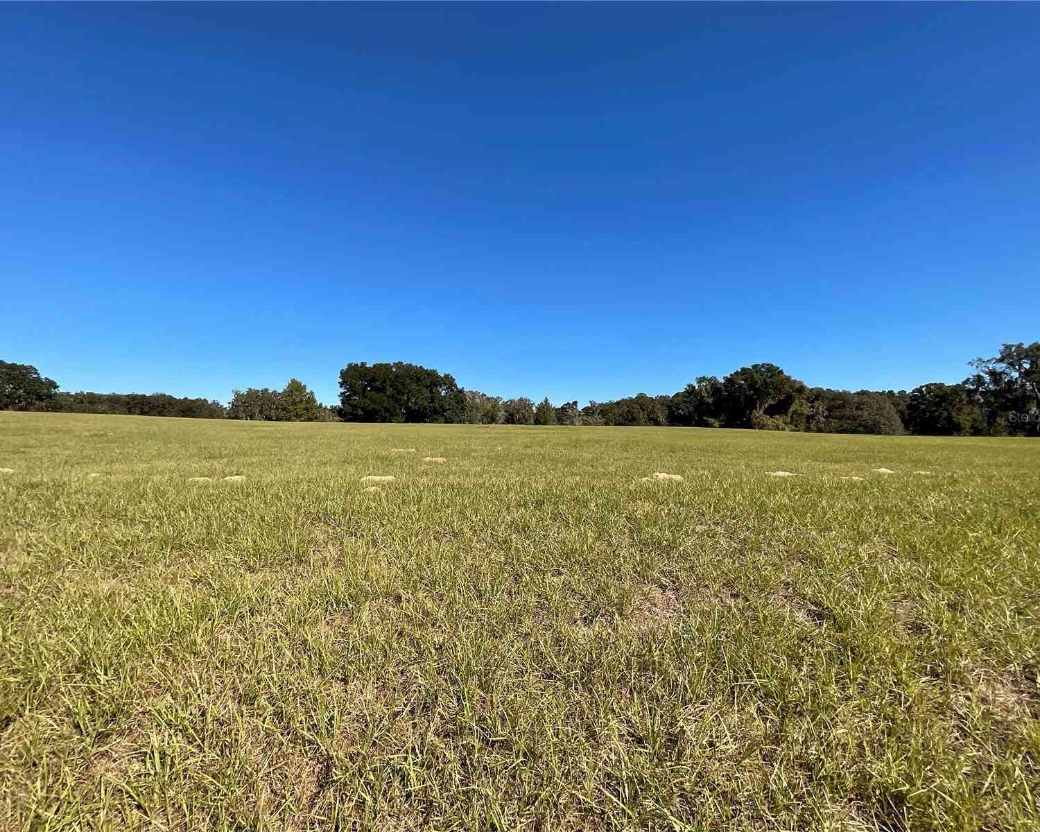 TBD SE 15th Avenue #LOT 1, OCALA, Florida image 10