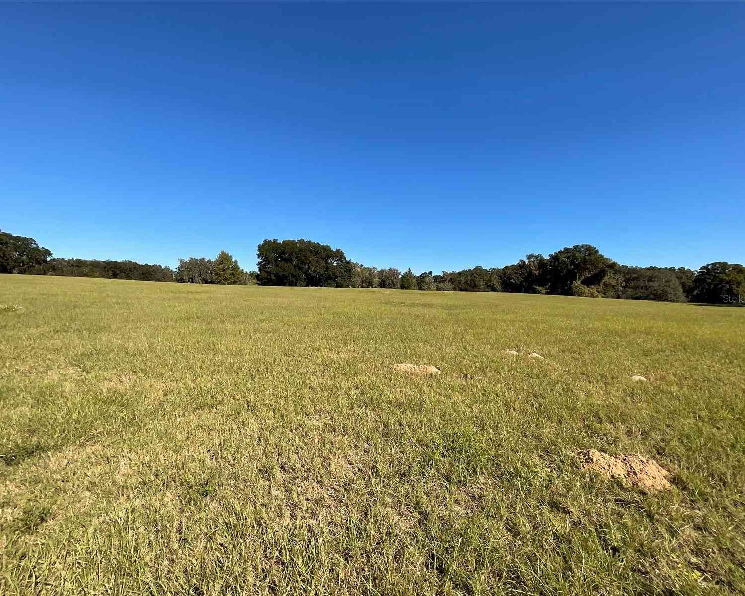 TBD SE 15th Avenue #LOT 1, OCALA, Florida image 13