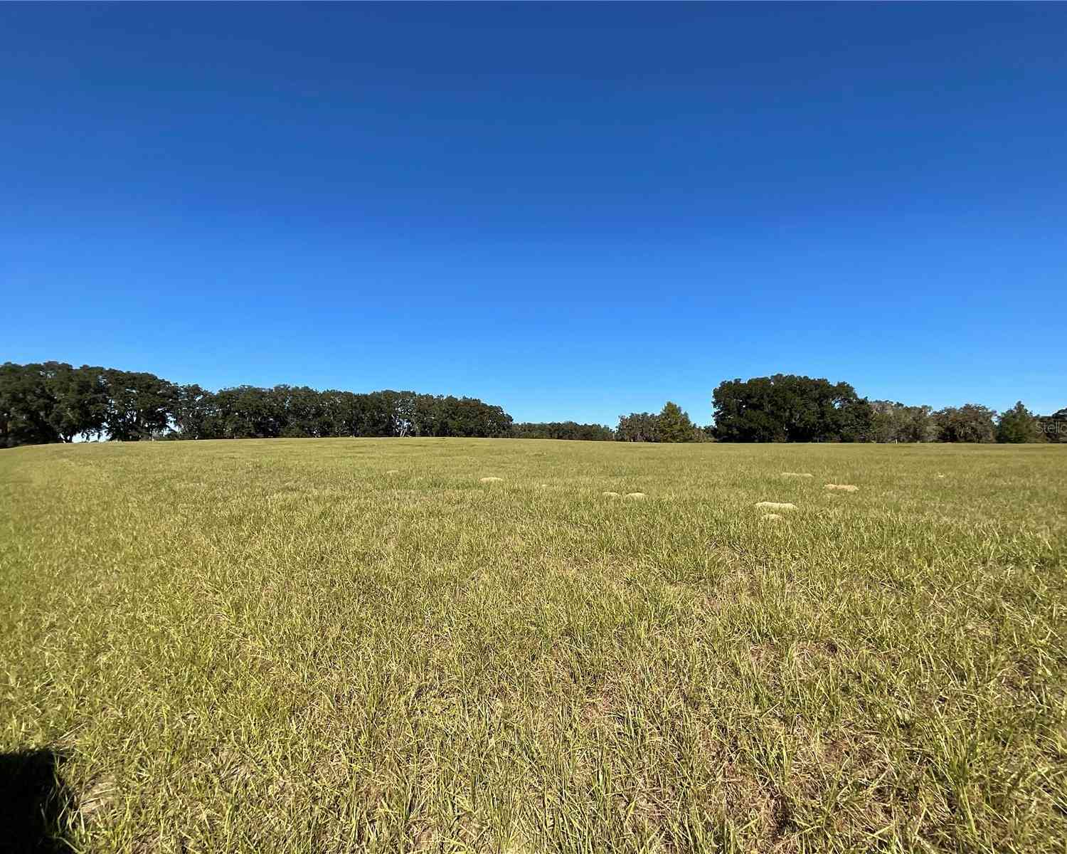 TBD SE 15th Avenue #LOT 1, OCALA, Florida image 9