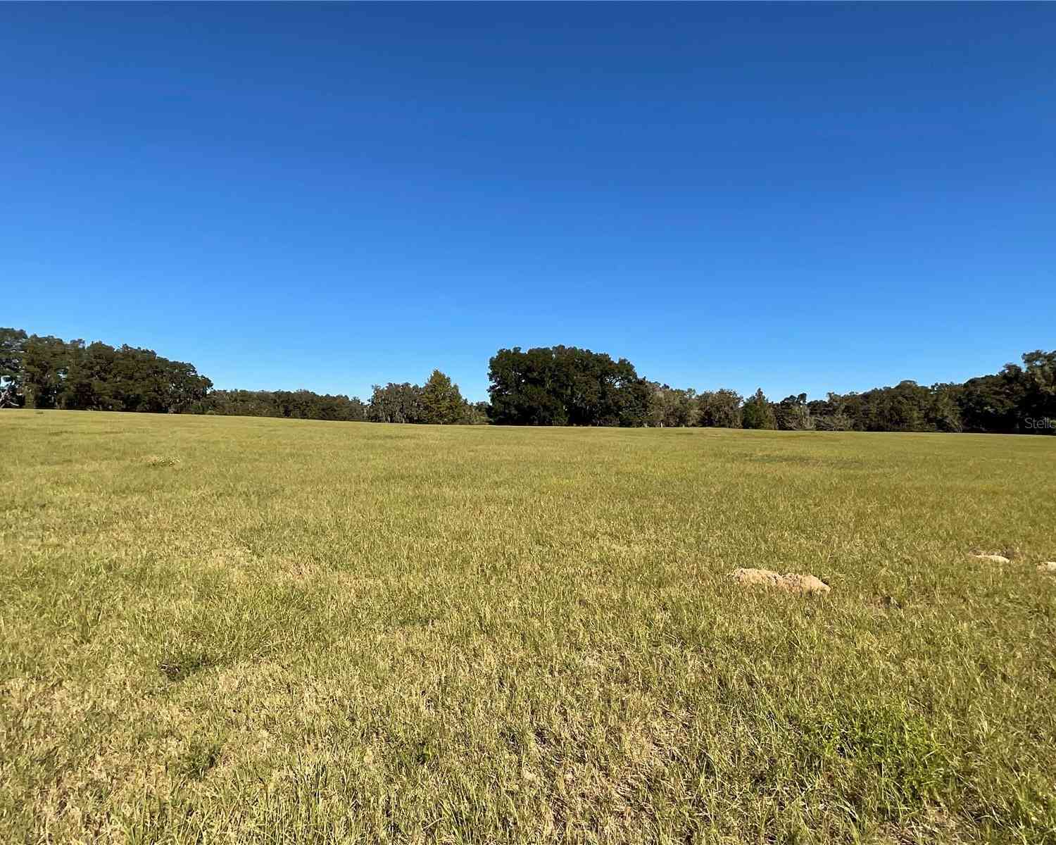 TBD SE 15th Avenue #LOT 1, OCALA, Florida image 11