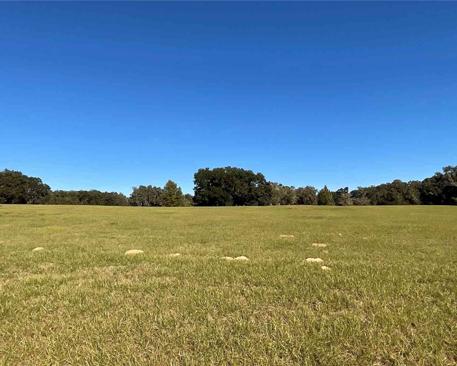 TBD SE 15th Avenue #LOT 1, OCALA, Florida image 5