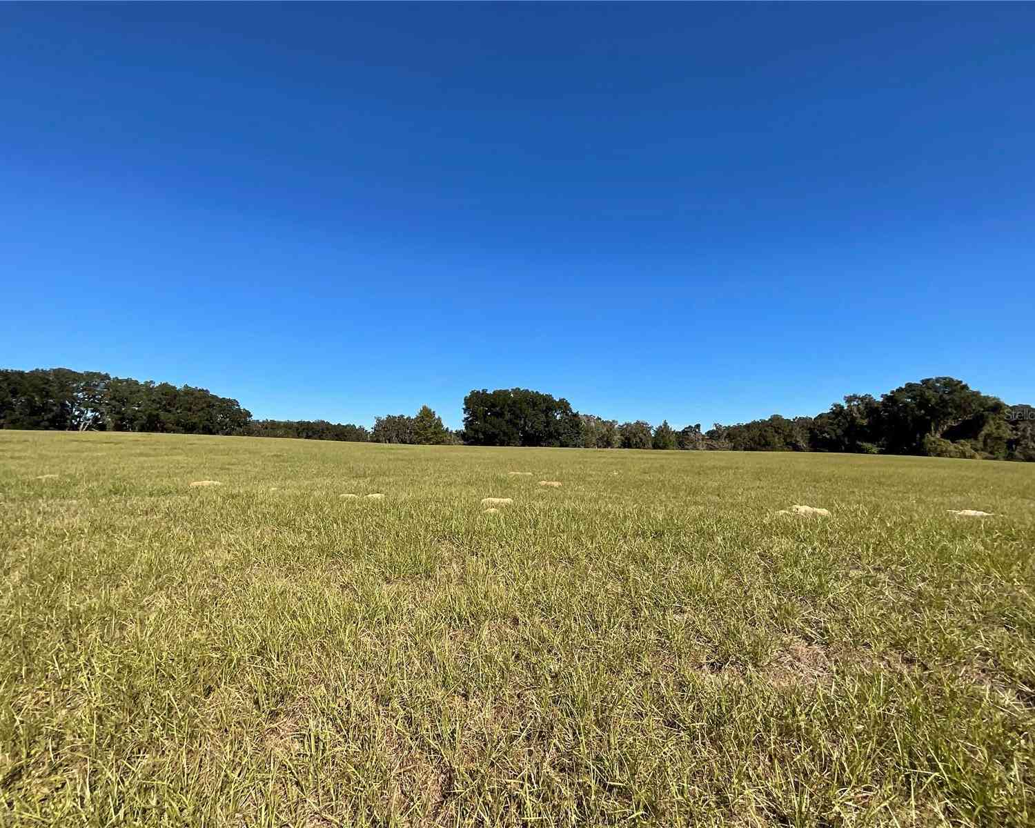 TBD SE 15th Avenue #LOT 1, OCALA, Florida image 7