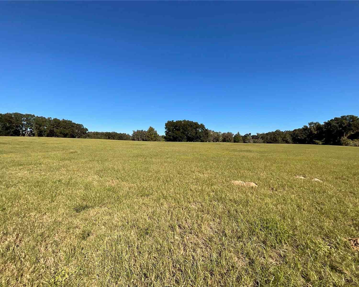 TBD SE 15th Avenue #LOT 1, OCALA, Florida image 12