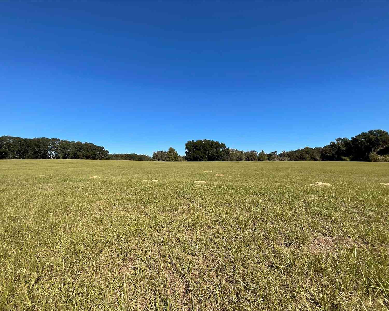 TBD SE 15th Avenue #LOT 1, OCALA, Florida image 8