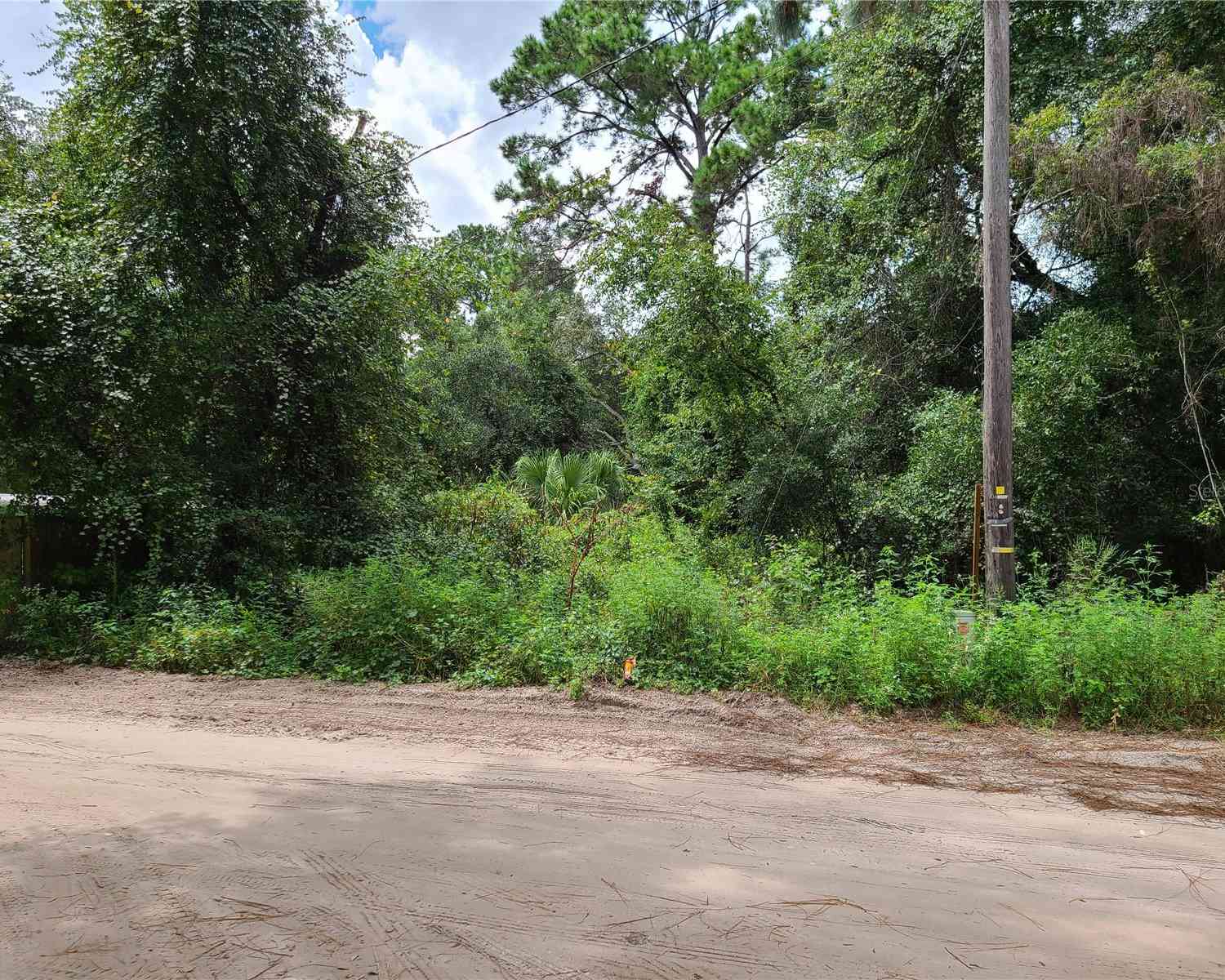 SE 191st Terrace, OCKLAWAHA, Florida image 5