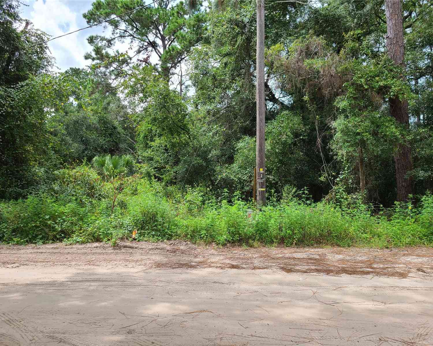 SE 191st Terrace, OCKLAWAHA, Florida image 1