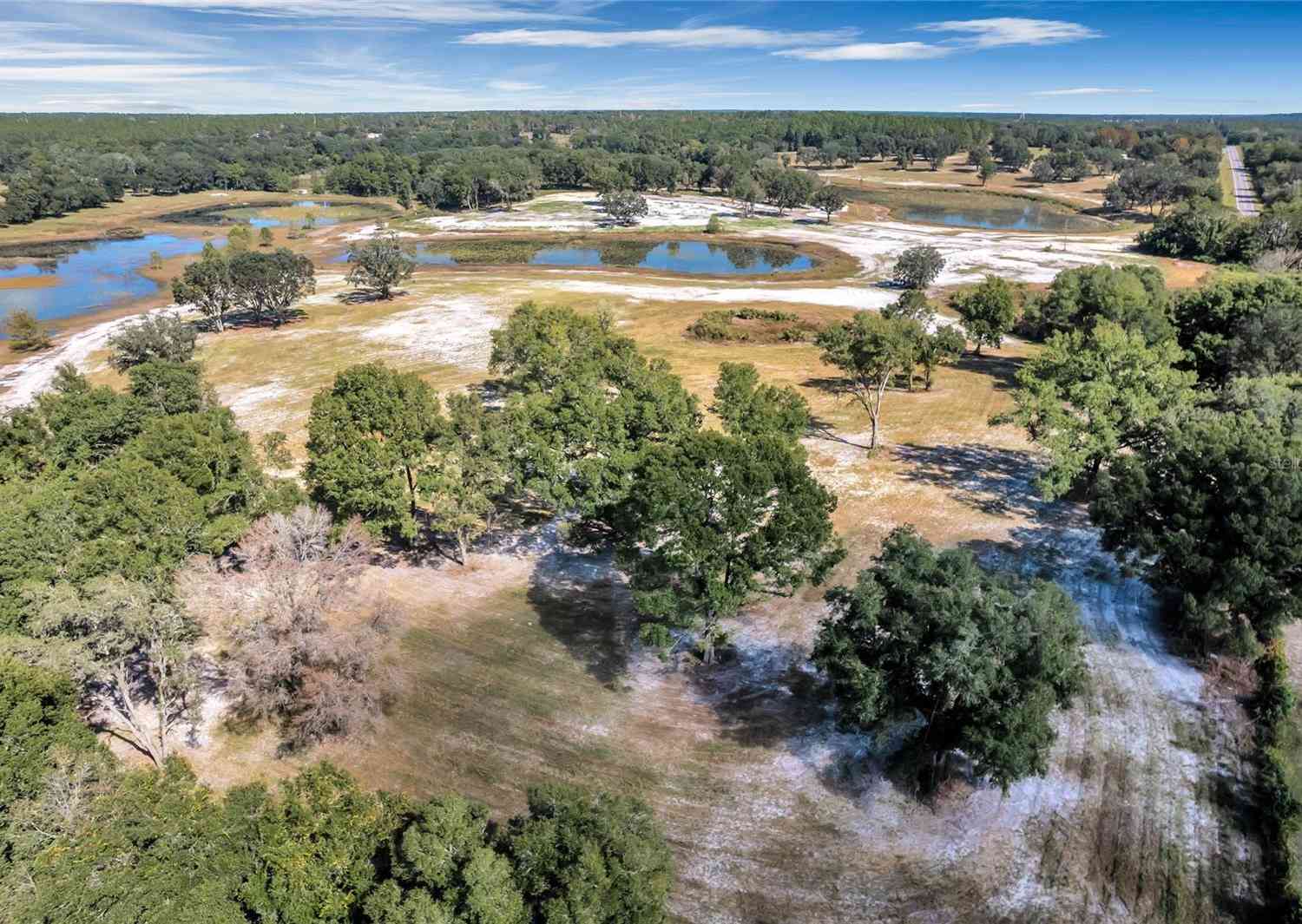 Se 180 Street Road, Umatilla, Florida image 1