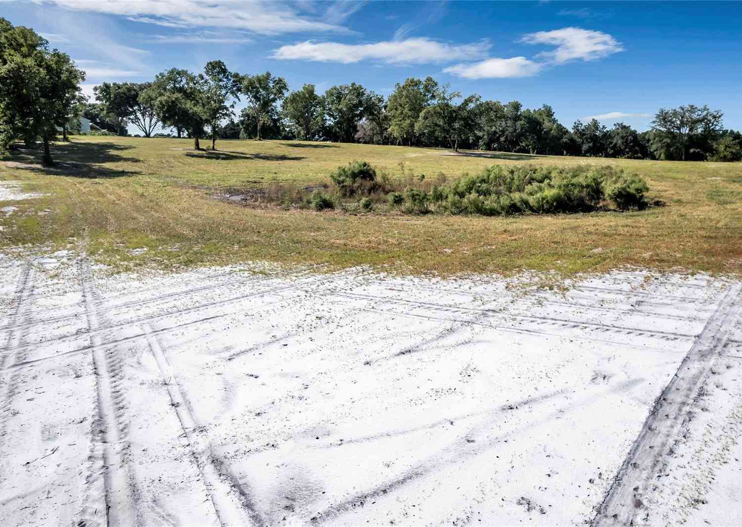Se 180 Street Road, Umatilla, Florida image 3