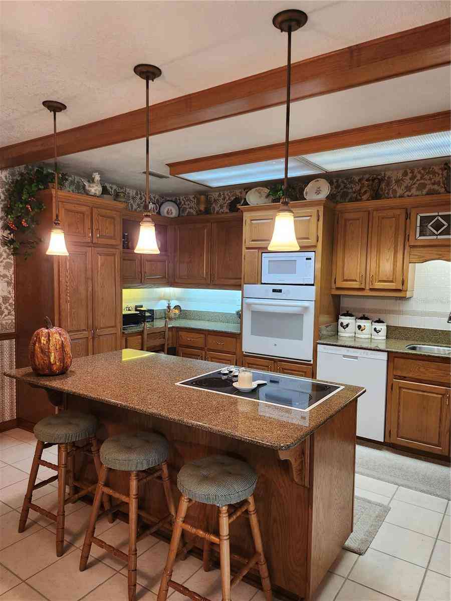 411 Bryan Road, BRANDON, Florida image 17