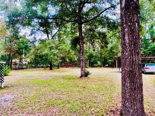 6669 NW 36th Lane, BELL, Florida image 9