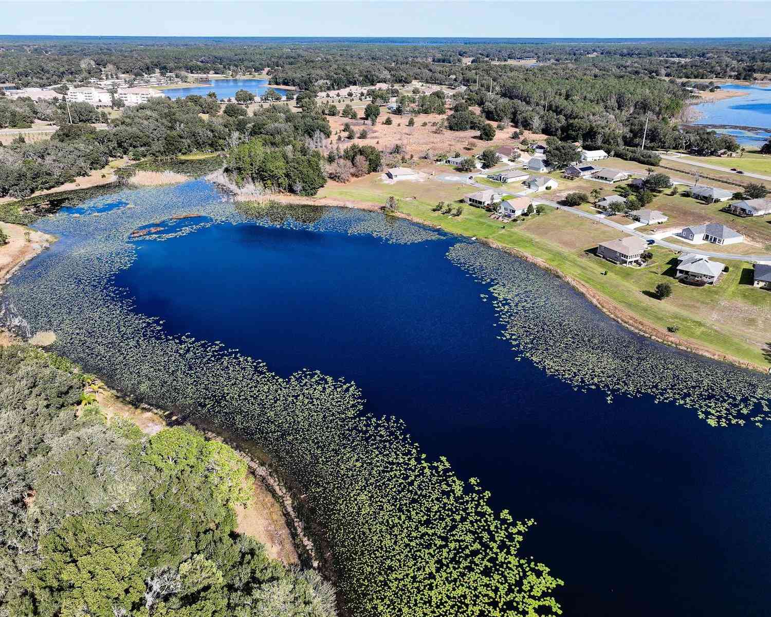 85 Fairway Circle, Umatilla, Florida image 9