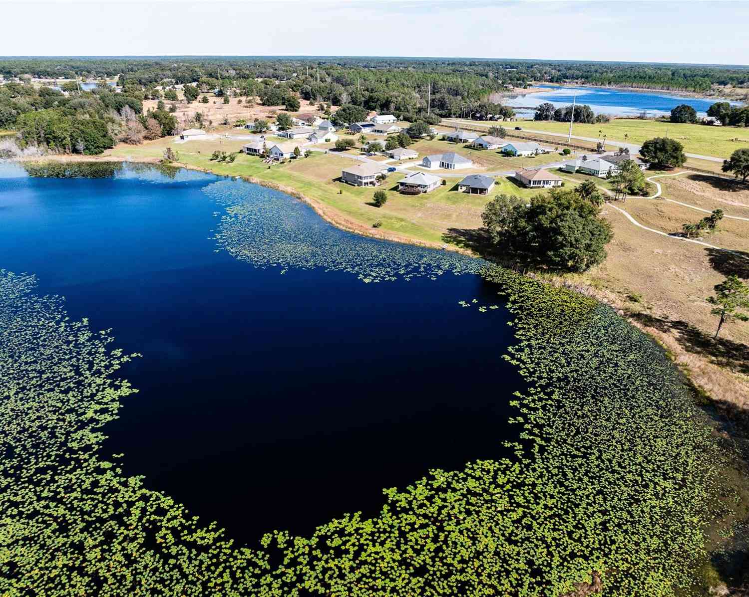 85 Fairway Circle, Umatilla, Florida image 6