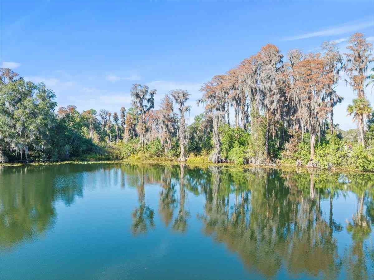 Boy Scout Road, ODESSA, Florida image 17