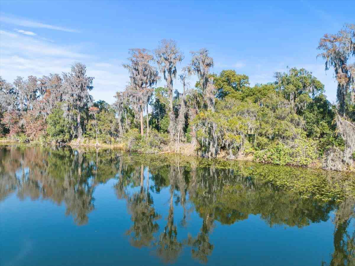 Boy Scout Road, ODESSA, Florida image 4