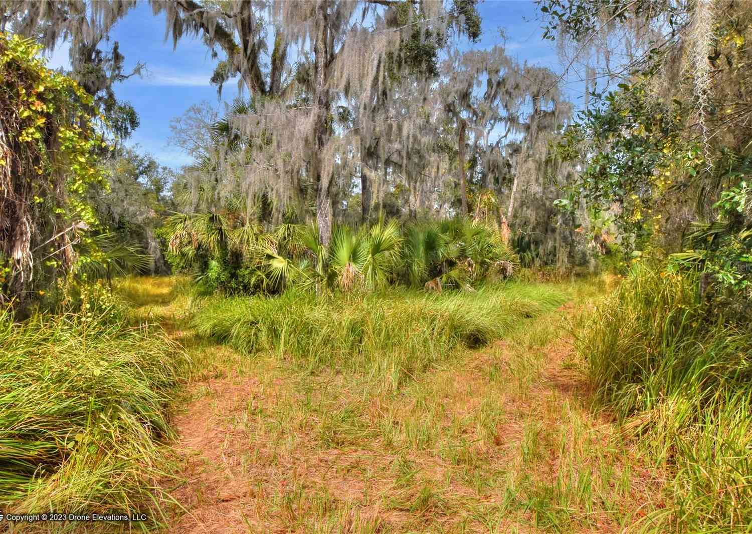 E Keysville Road, LITHIA, Florida image 8