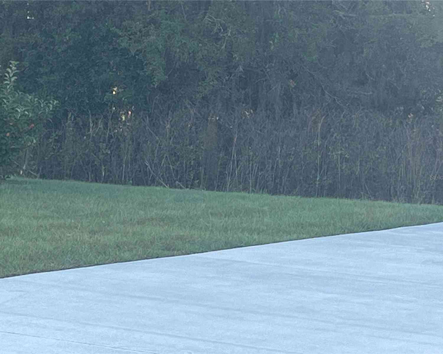 4891 SE 92nd Boulevard, WEBSTER, Florida image 3