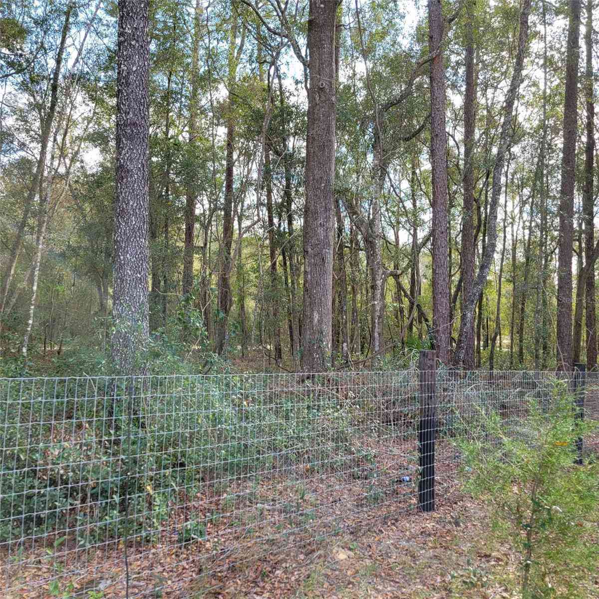 14210 NE 50th Place, WILLISTON, Florida image 36