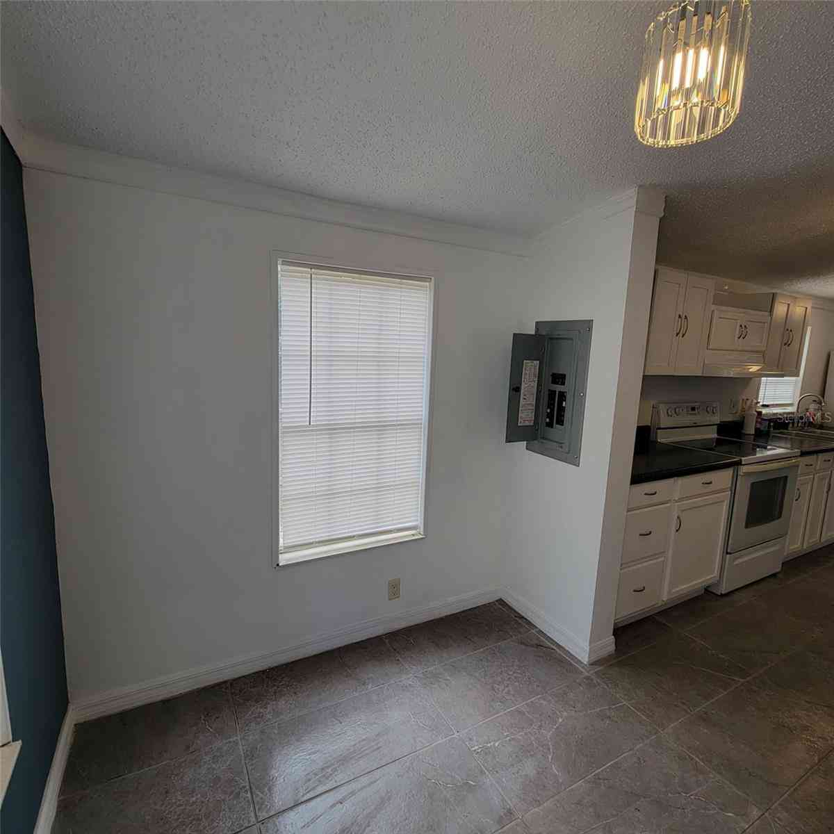 14210 NE 50th Place, WILLISTON, Florida image 17