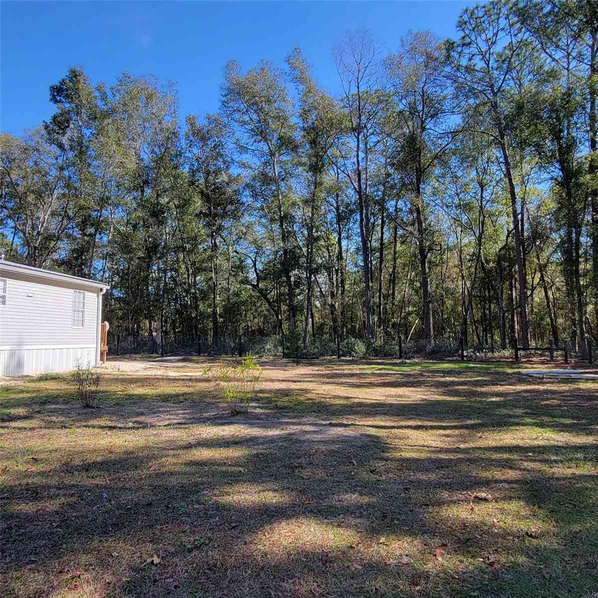 14210 NE 50th Place, WILLISTON, Florida image 6