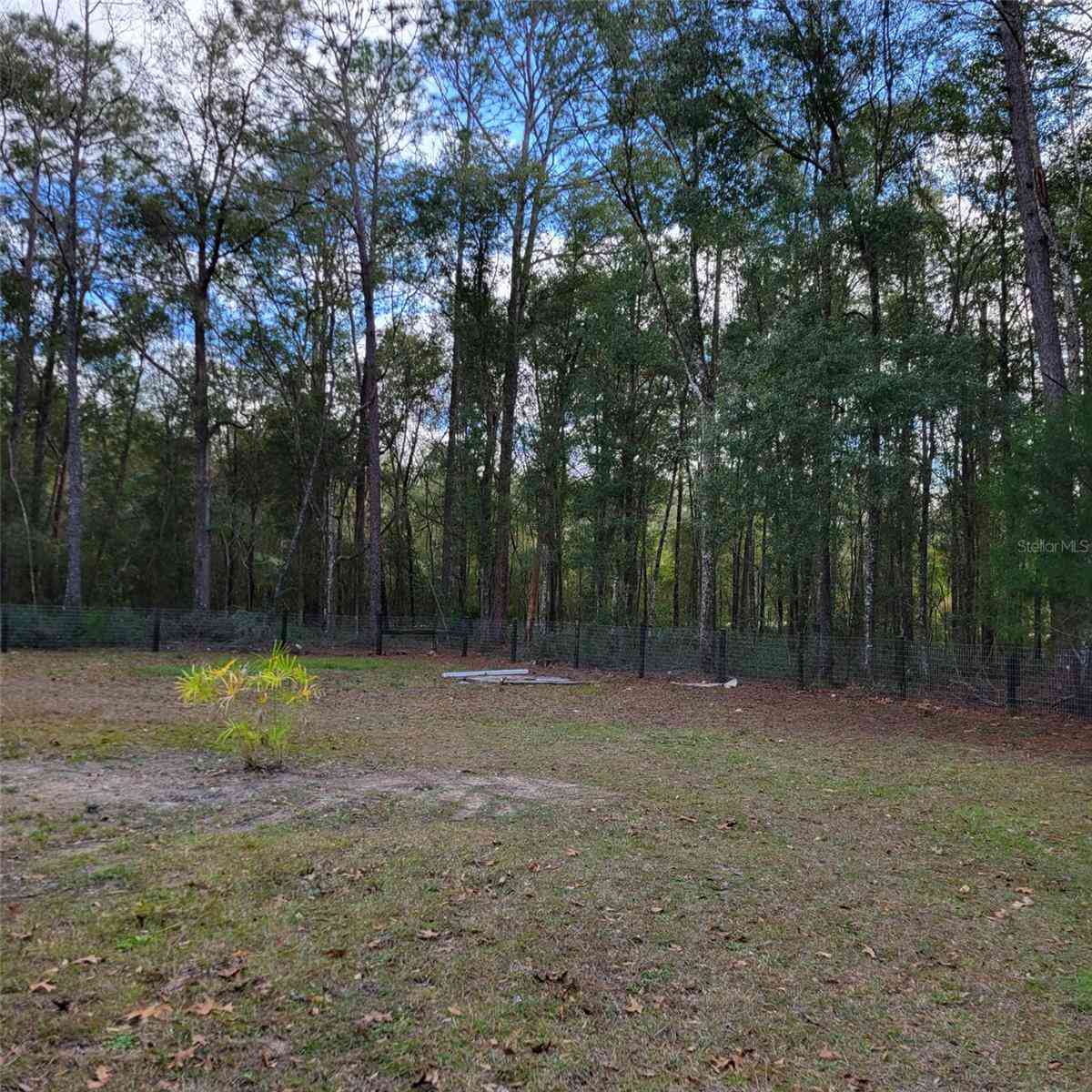14210 NE 50th Place, WILLISTON, Florida image 39