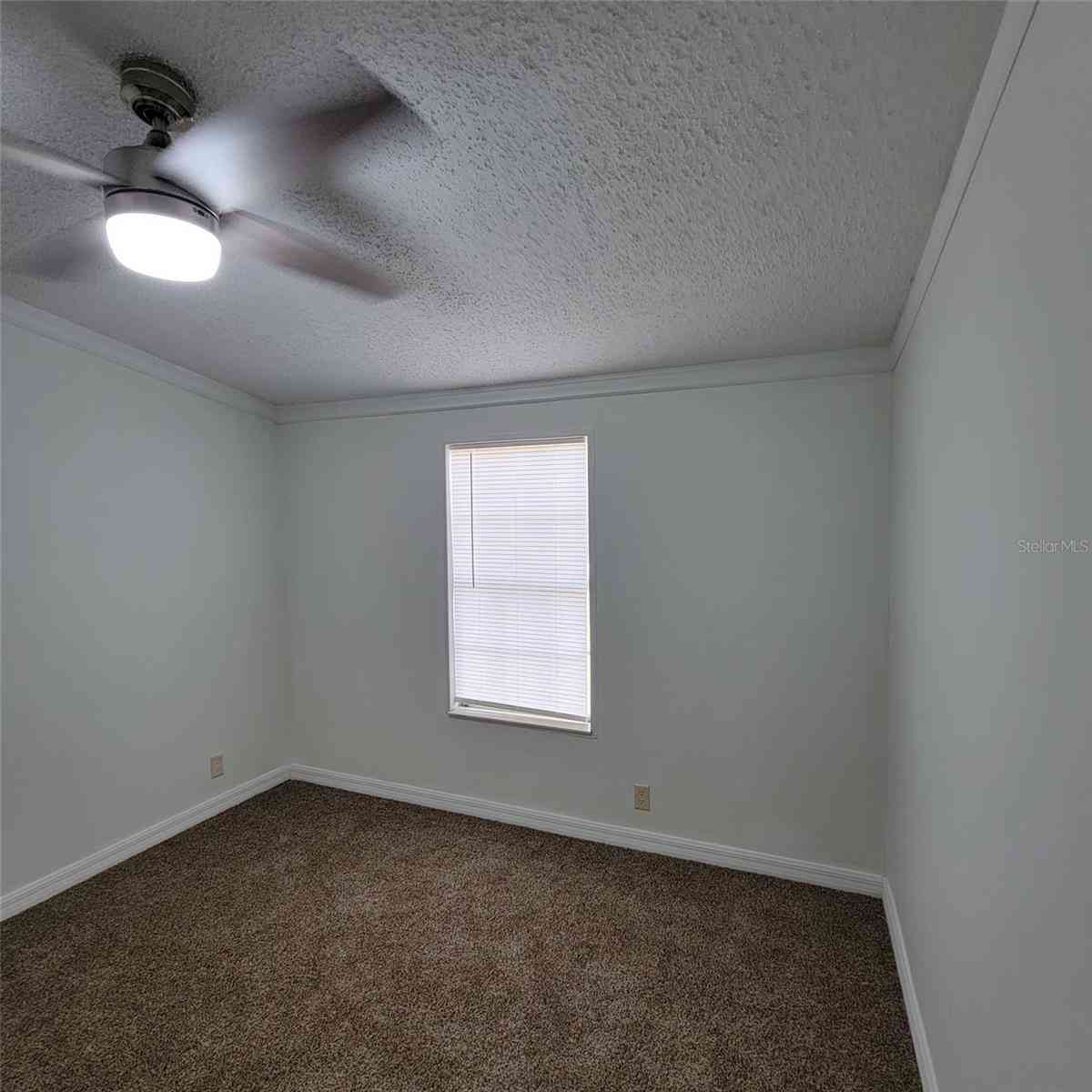 14210 NE 50th Place, WILLISTON, Florida image 12