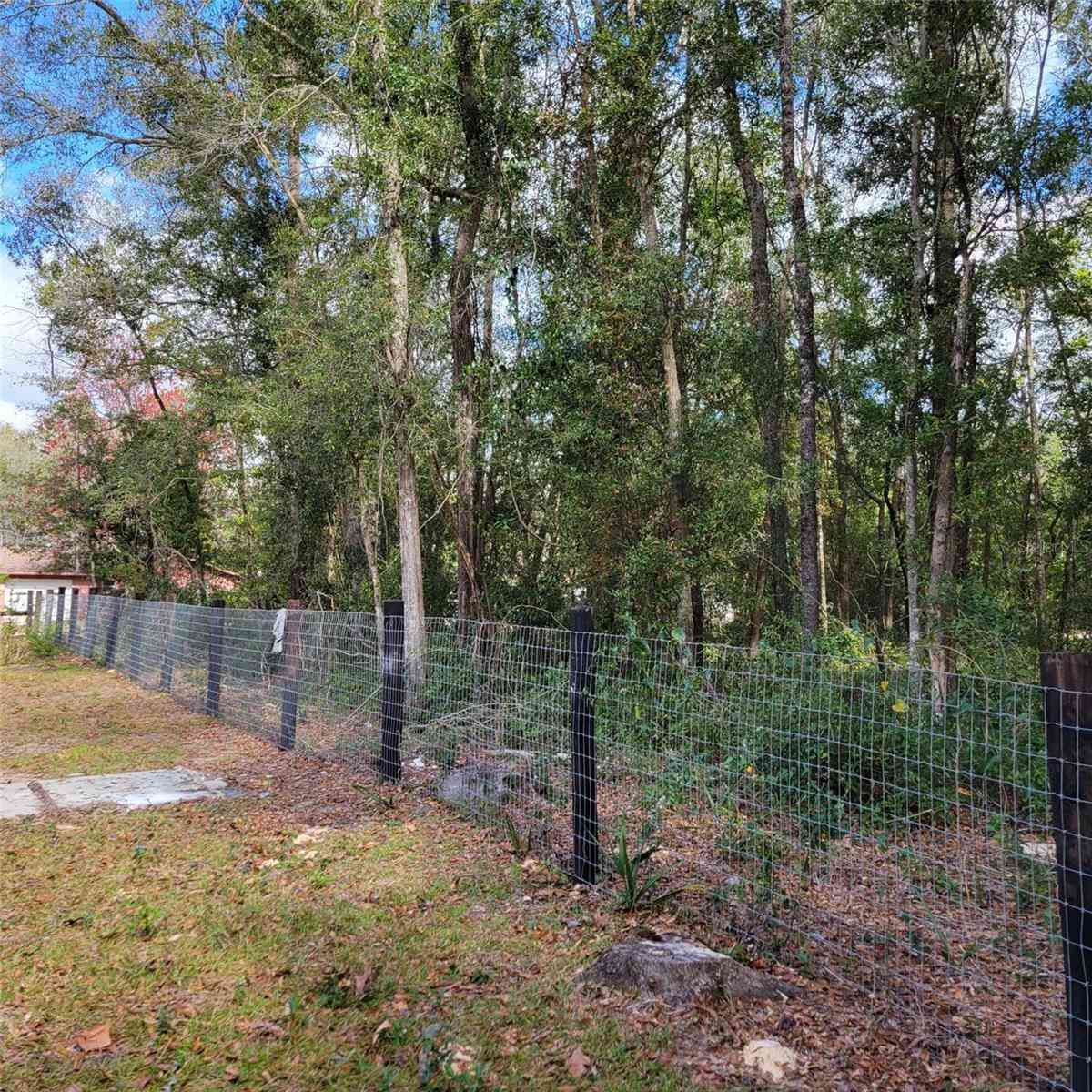 14210 NE 50th Place, WILLISTON, Florida image 2