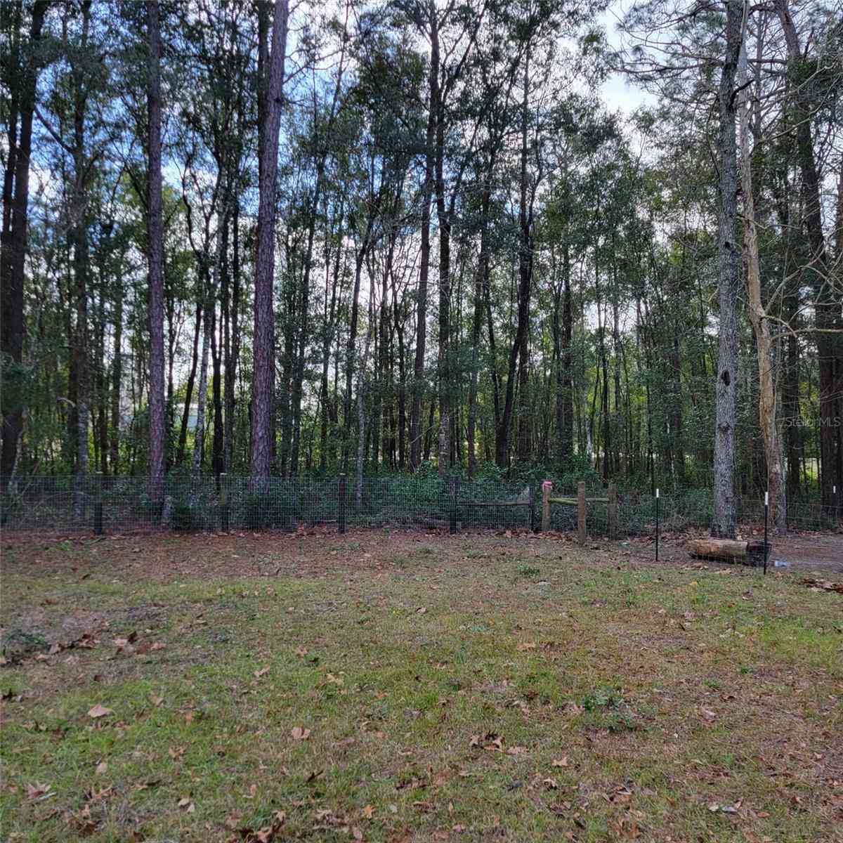 14210 NE 50th Place, WILLISTON, Florida image 38