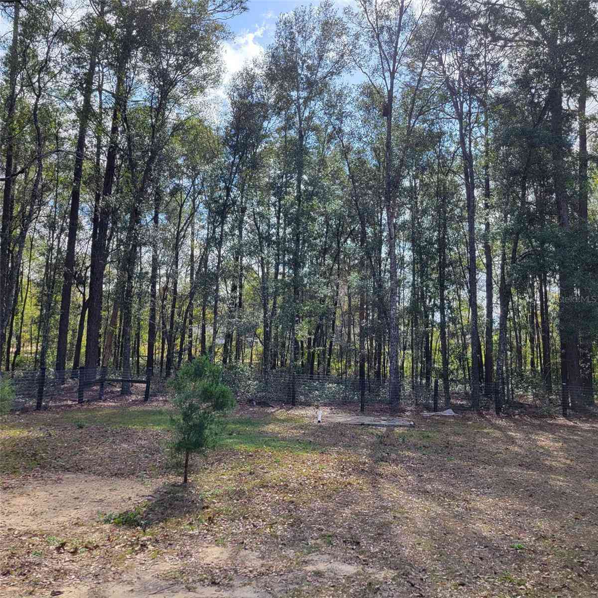 14210 NE 50th Place, WILLISTON, Florida image 40