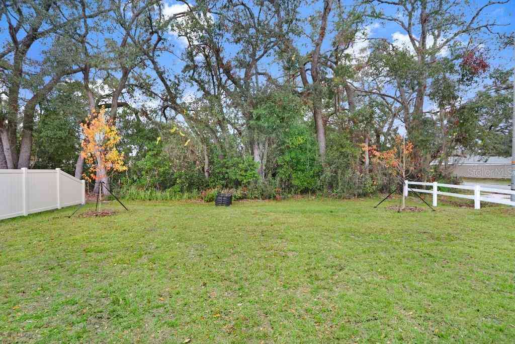 2411 Orange Harvest Place, SEFFNER, Florida image 25