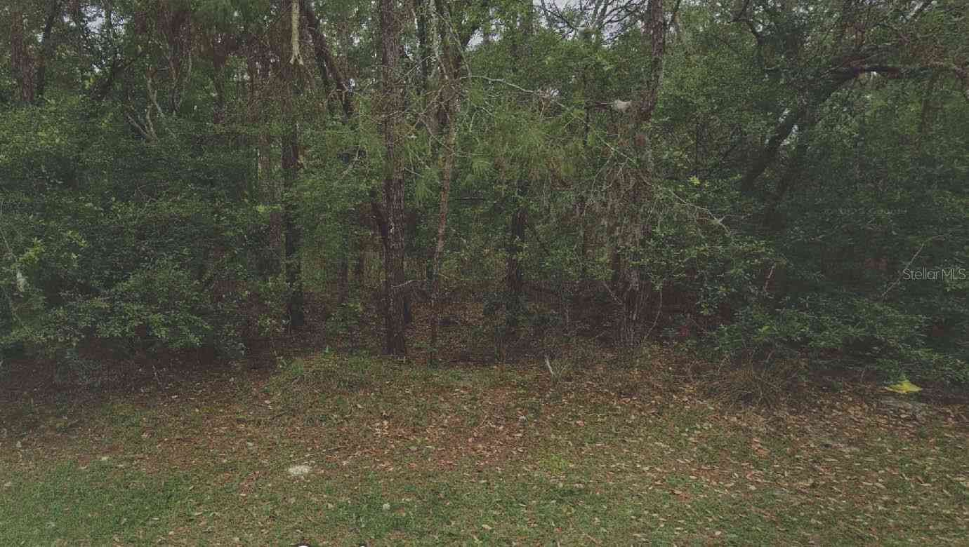 105 Rhode Island Avenue, SATSUMA, Florida image 1