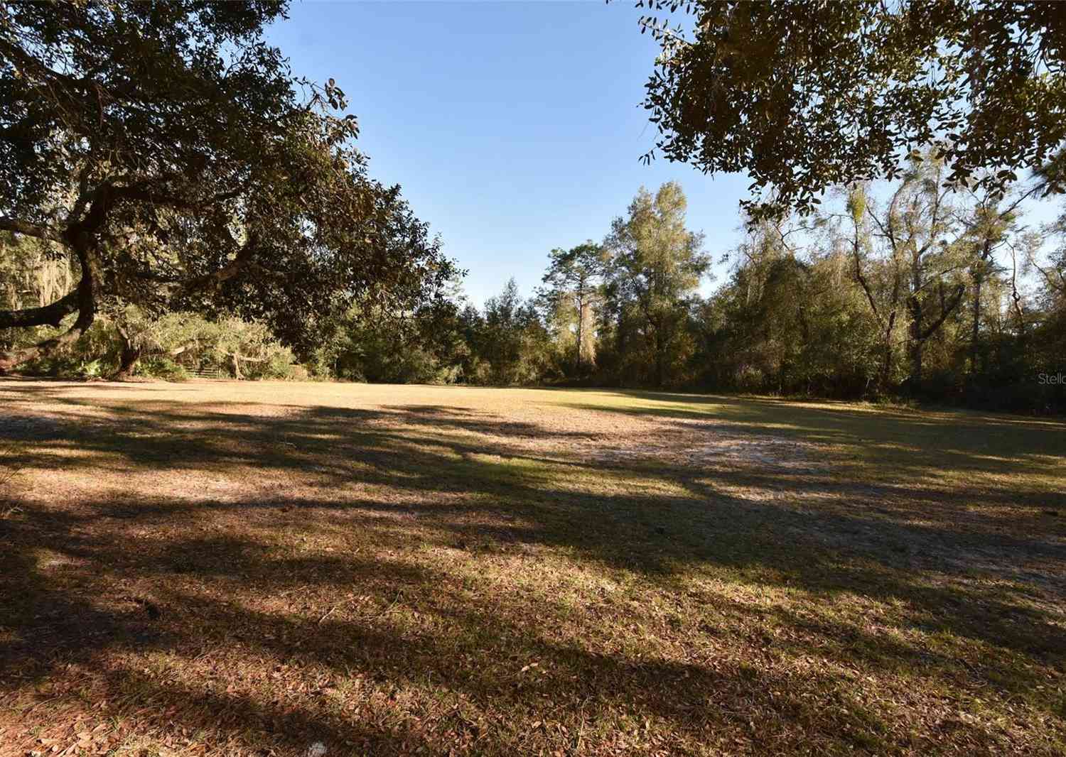 12729 SW 42nd Way, WEBSTER, Florida image 26