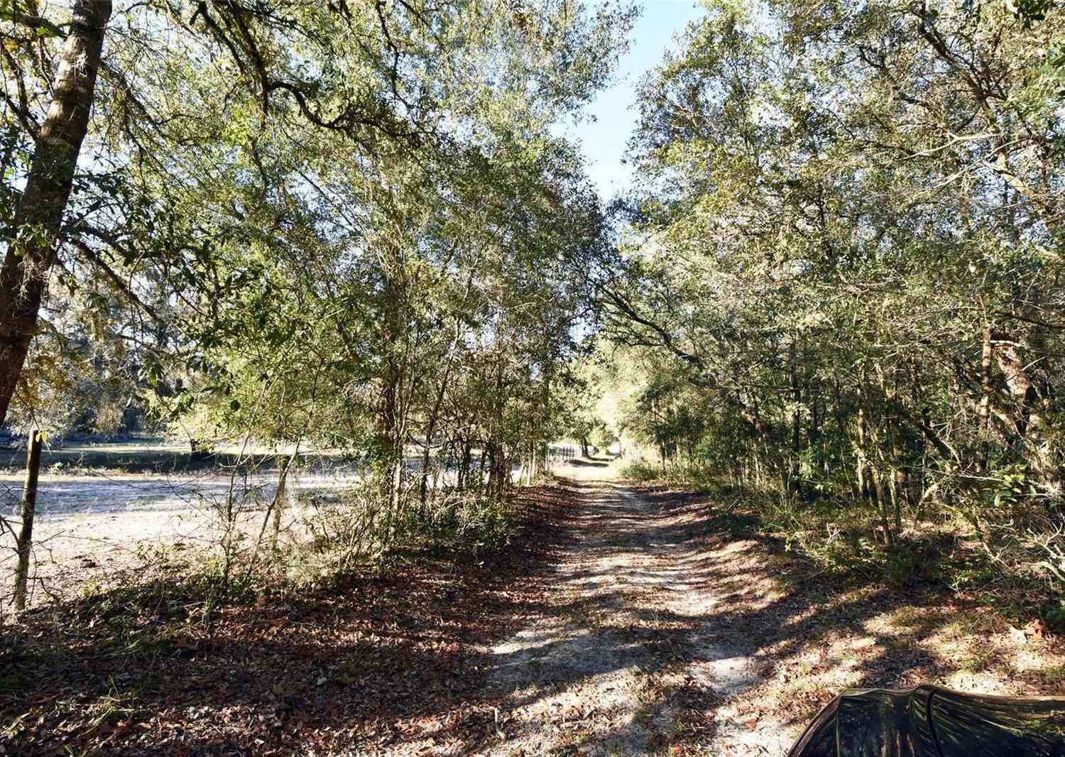 12729 SW 42nd Way, WEBSTER, Florida image 25
