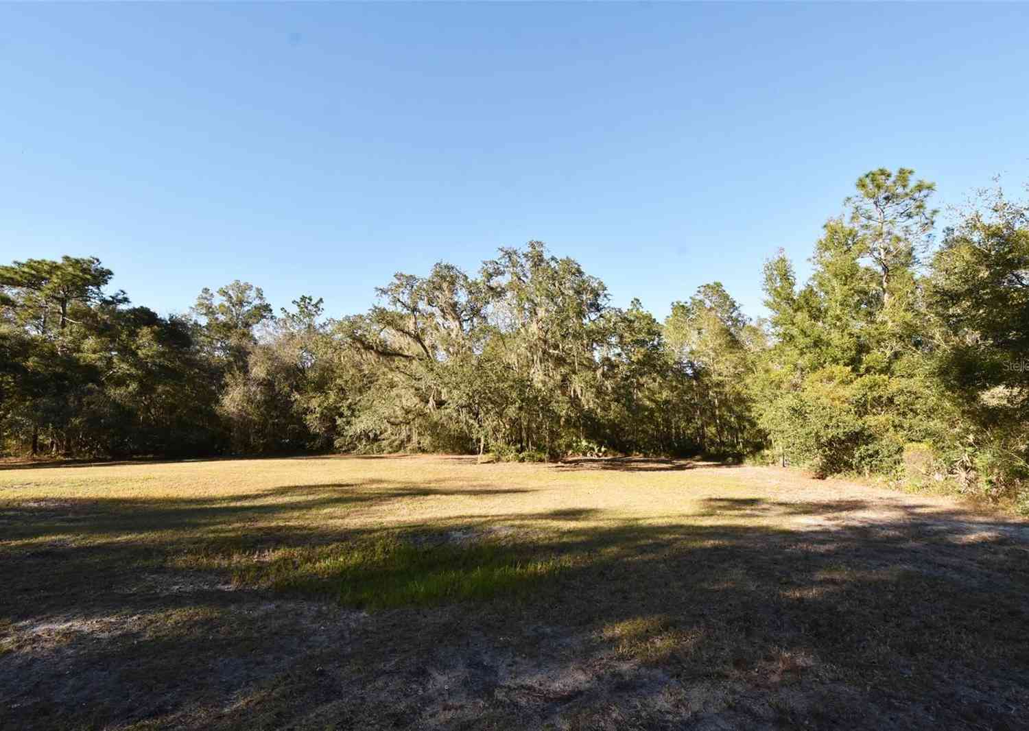12729 SW 42nd Way, WEBSTER, Florida image 28