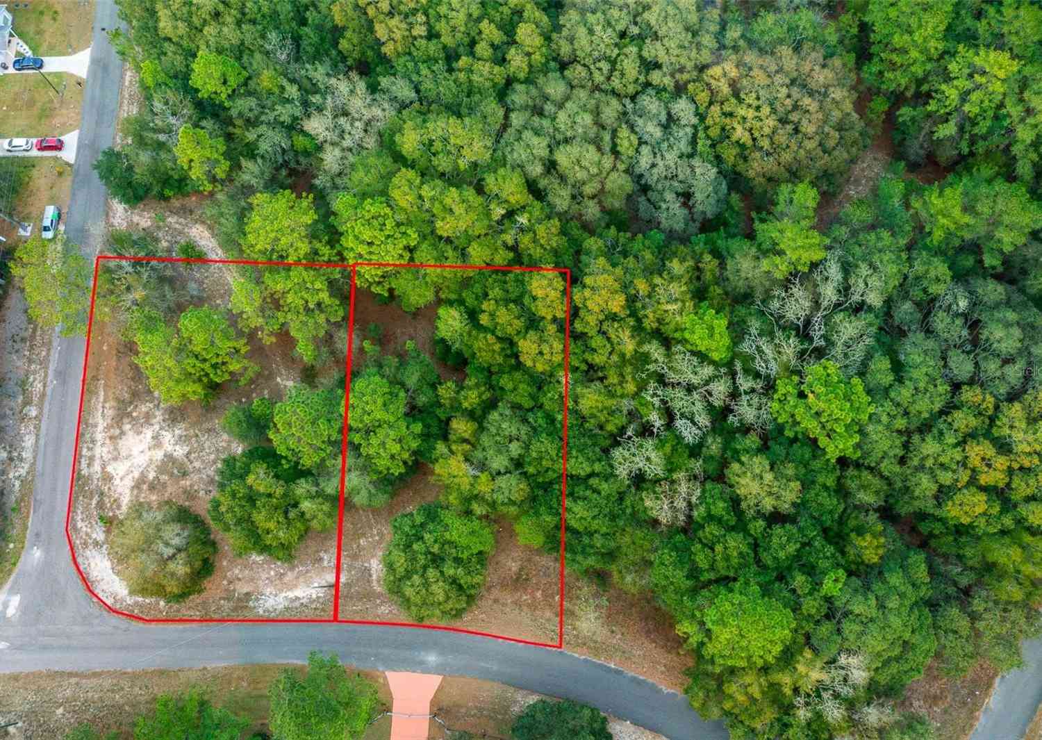 LOT 4 & 5 Guava Terrace, OCKLAWAHA, Florida image 2