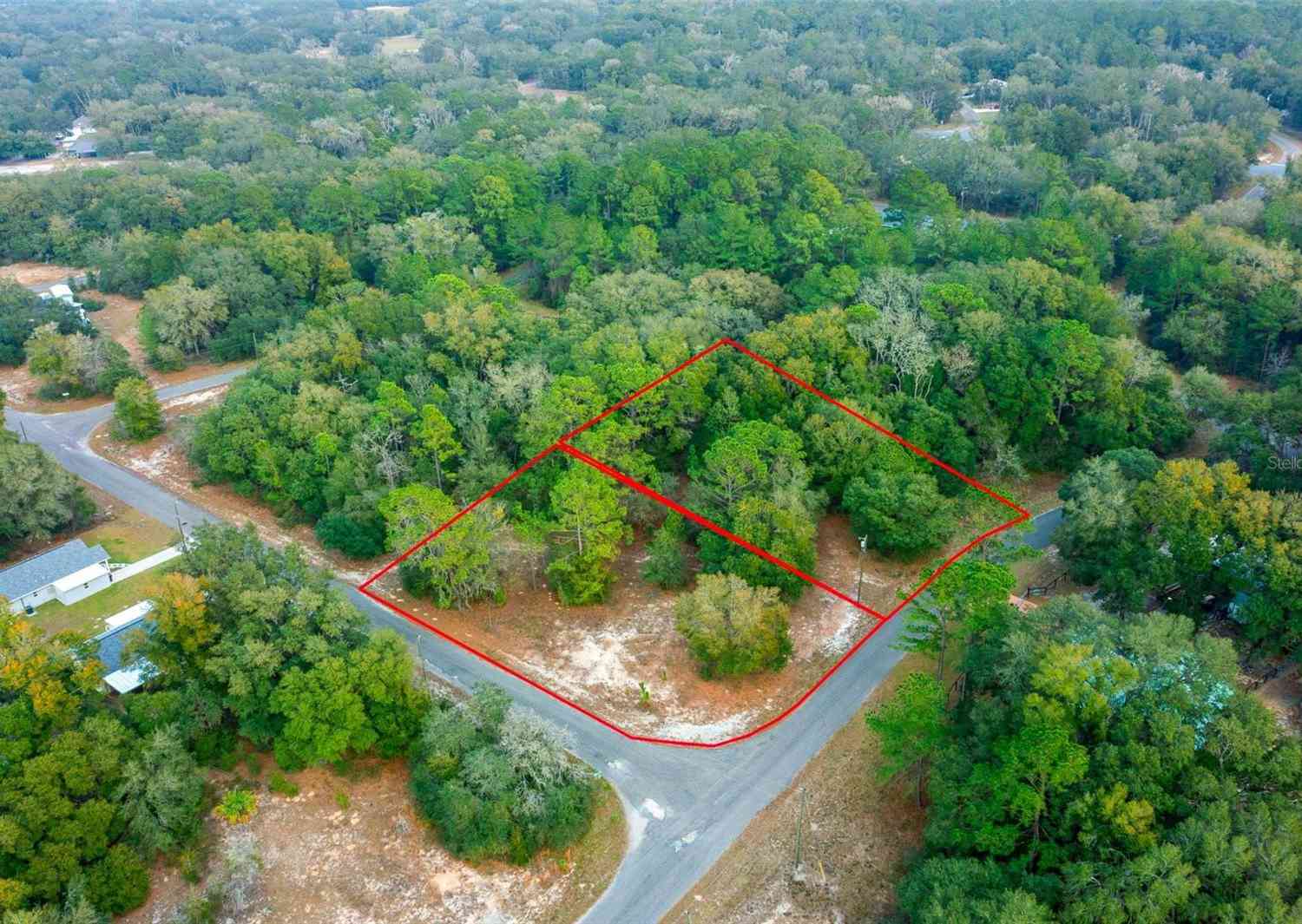 LOT 4 & 5 Guava Terrace, OCKLAWAHA, Florida image 6