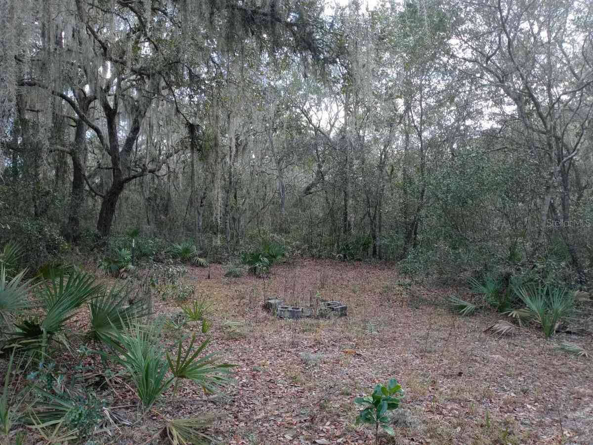 00000 NE 213 Place, FORT MC COY, Florida image 1