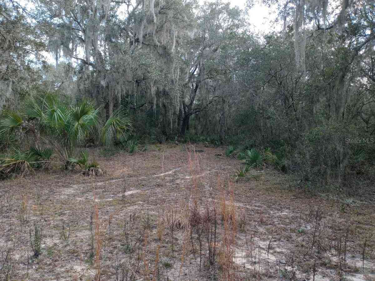 00000 NE 213 Place, FORT MC COY, Florida image 7