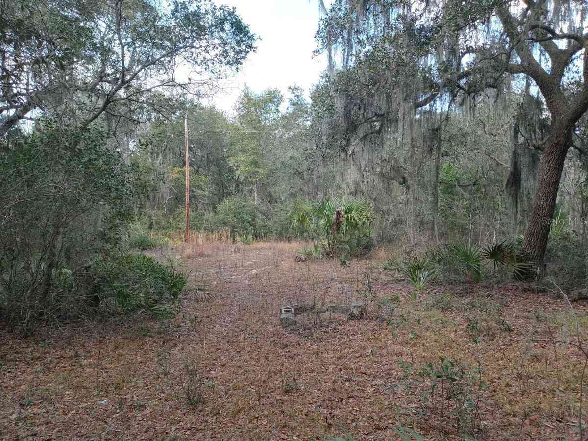 00000 NE 213 Place, FORT MC COY, Florida image 2