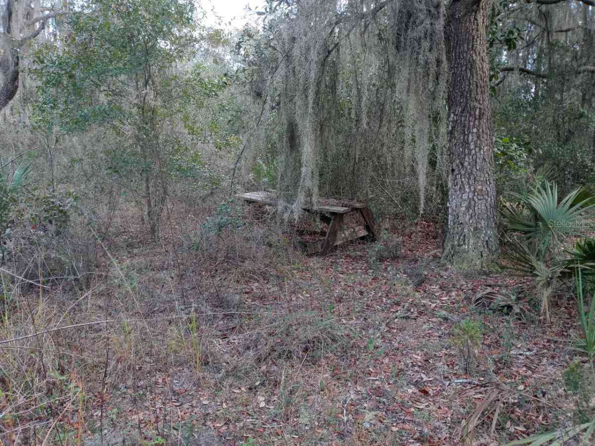 00000 NE 213 Place, FORT MC COY, Florida image 3