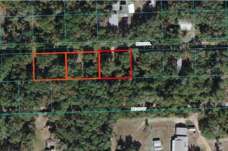 00000 NE 213 Place, FORT MC COY, Florida image 10