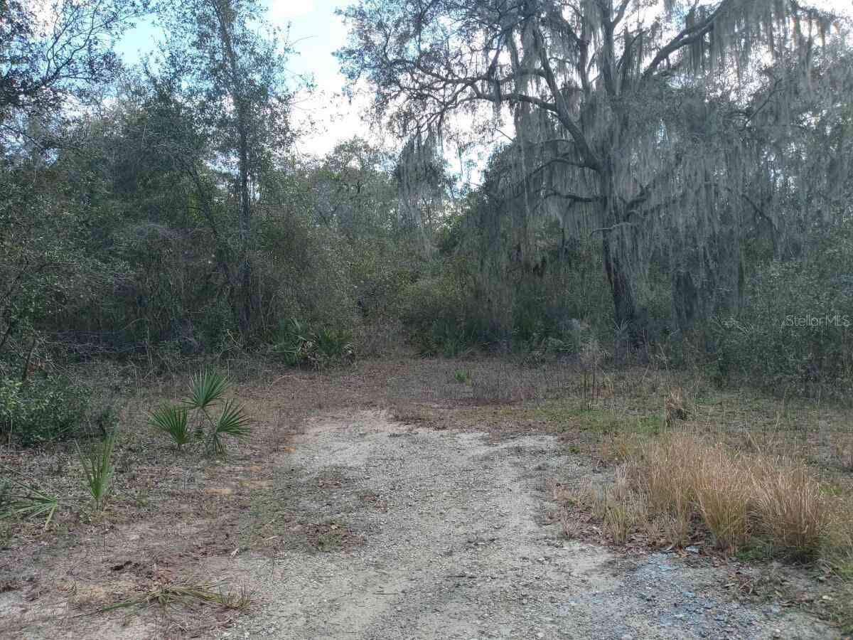 00000 NE 213 Place, FORT MC COY, Florida image 8